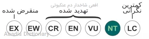 افعی شاخدار دم عنکبوتی